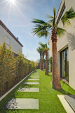 Villa-Carrare-11
